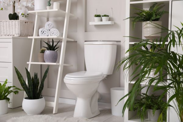 Cost of Toilet Repair in Dacula