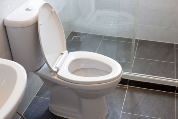 Cost of Toilet Replacement in Dacula
