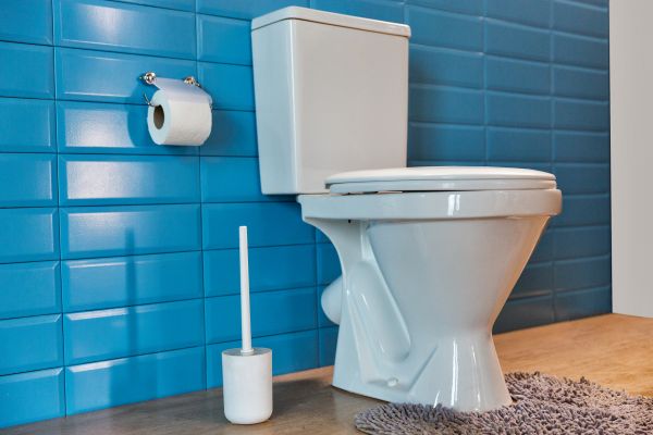 Cost of Toilet Tank Repair in Dacula