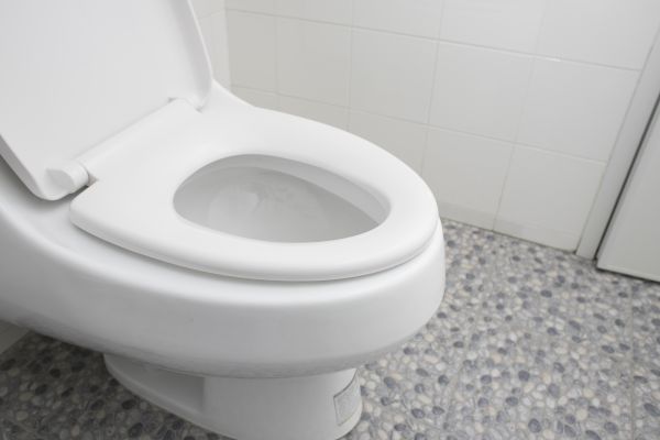 Cost of New Toilet Installation in Dacula