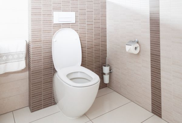Cost of Toilet Plumbing Installation in Dacula